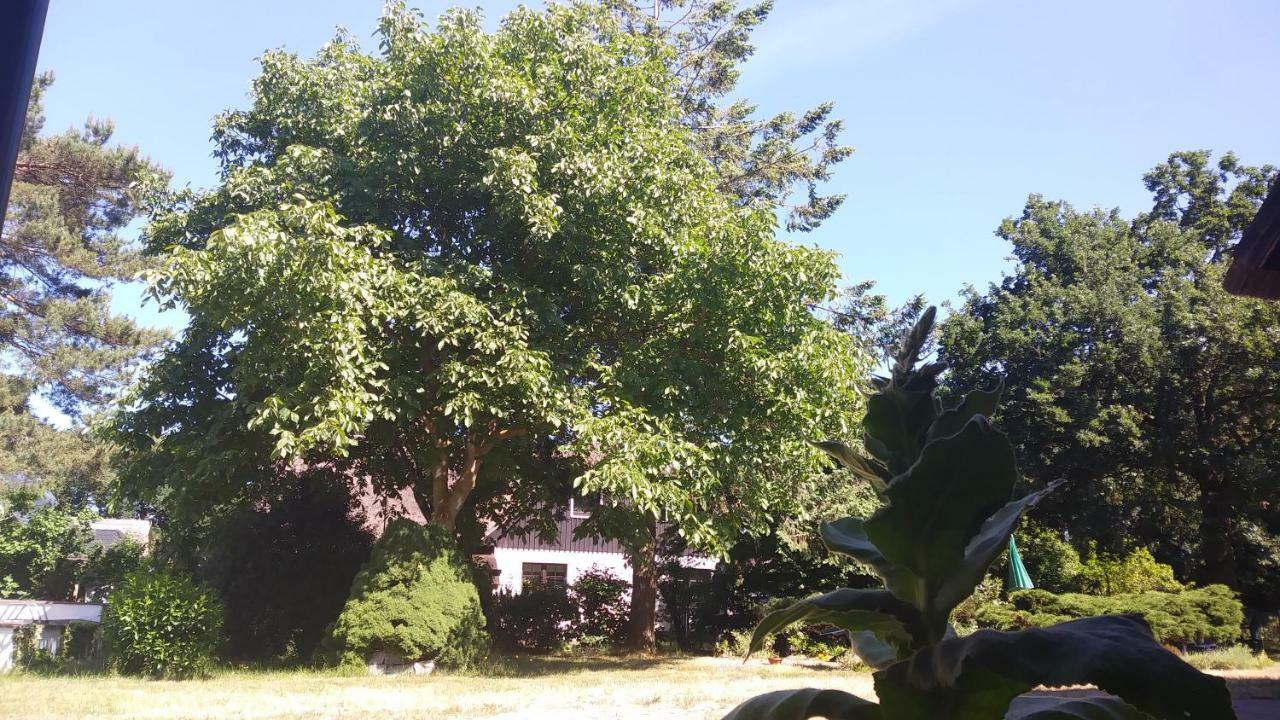 Fewo1 Born Exterior photo