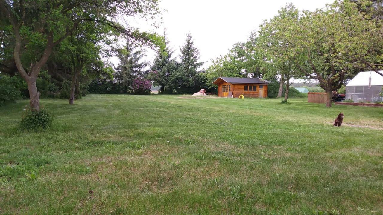 Fewo1 Born Exterior photo